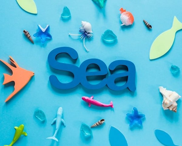 Comment mener une campagne publicitaire à la suite d'un audit SEA ?